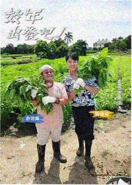 音乐综艺节目 选秀